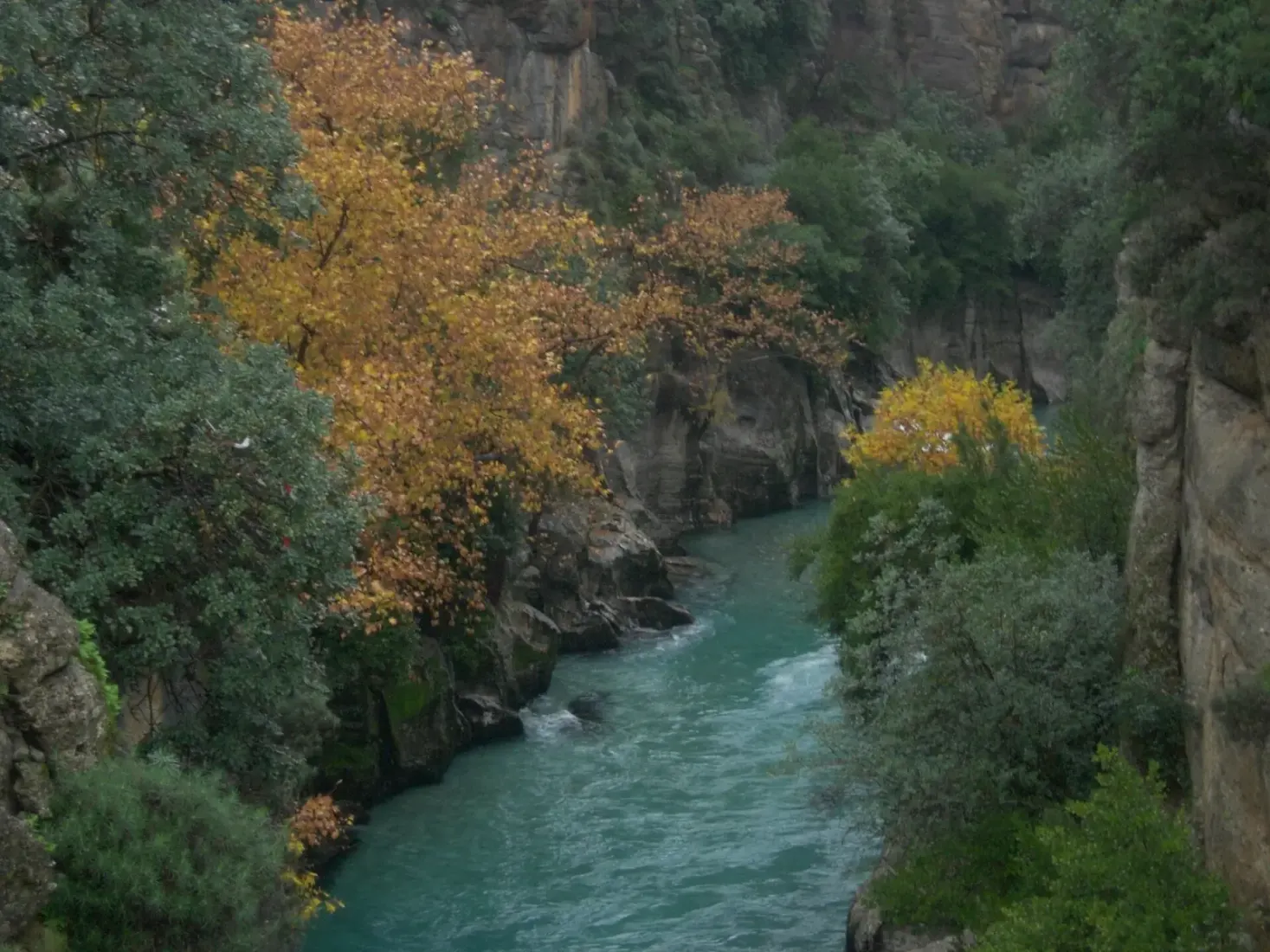 Groenblauw water stroomt door de beboste kloof van Köprülü Kanyon in herfstkleuren